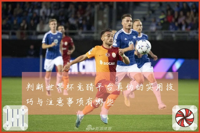 判断世界杯竞猜平台真伪的实用技巧与注意事项有哪些
