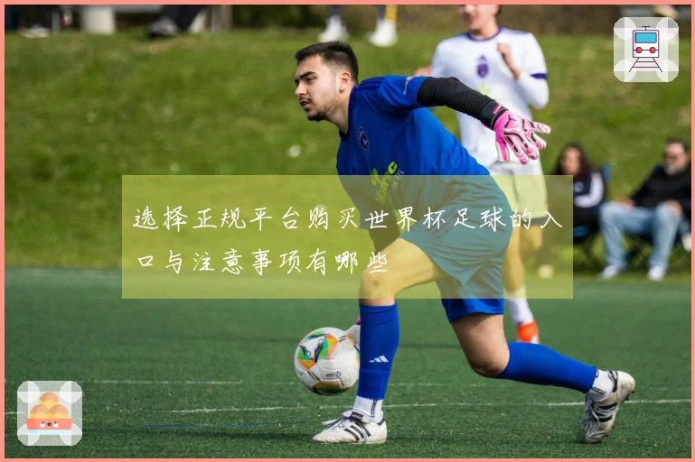 选择正规平台购买世界杯足球的入口与注意事项有哪些