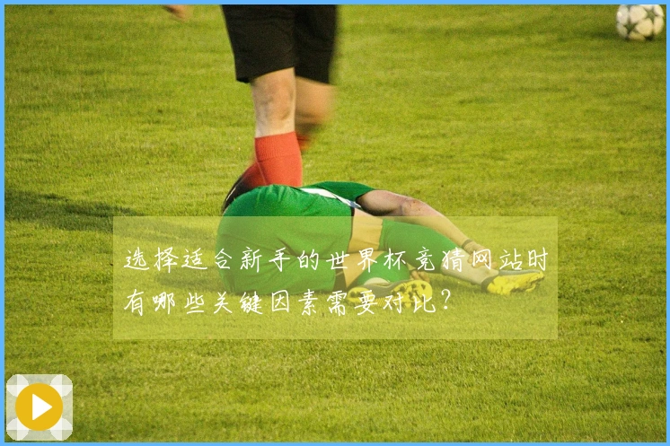 选择适合新手的世界杯竞猜网站时有哪些关键因素需要对比？