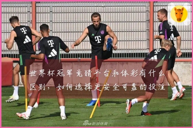世界杯冠军竞猜平台和体彩有什么区别，如何选择更安全可靠的投注渠道
