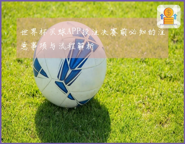 世界杯买球APP投注决赛前必知的注意事项与流程解析