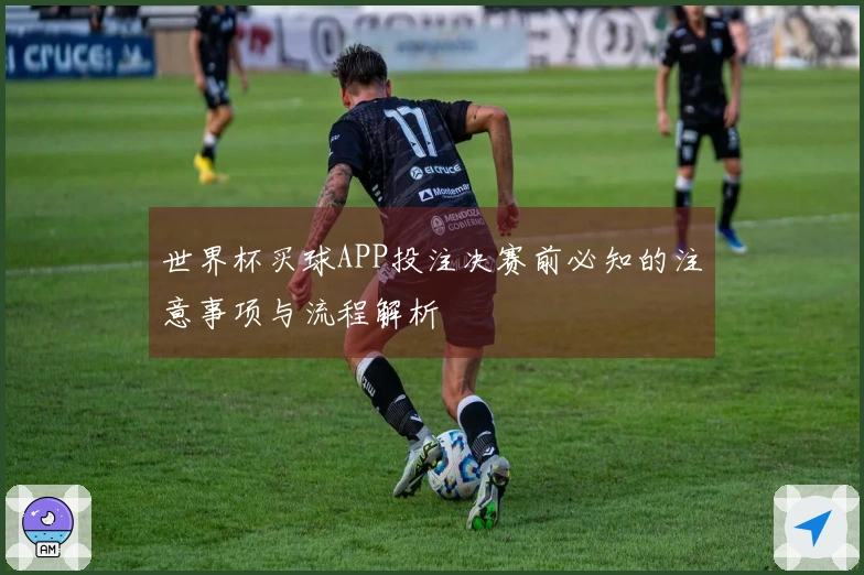 世界杯买球APP投注决赛前必知的注意事项与流程解析