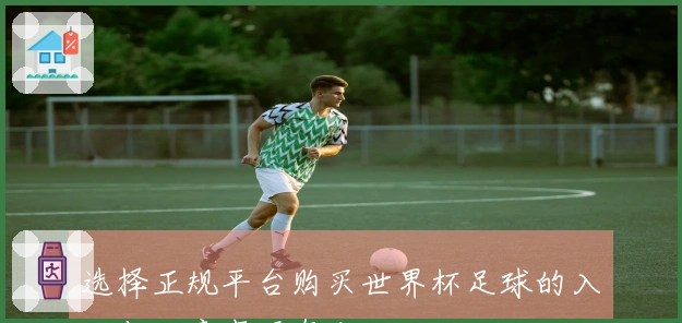 选择正规平台购买世界杯足球的入口与注意事项有哪些